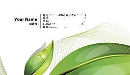 兩片樹葉個(gè)性簡(jiǎn)潔名片設(shè)計(jì)psd源文件