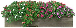 紅花綠茶環(huán)境設(shè)計效果圖素材