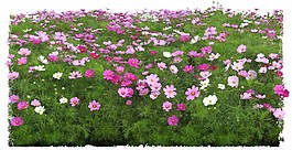 公園效果圖素材