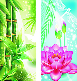 竹子 花