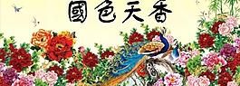 牡丹花图片