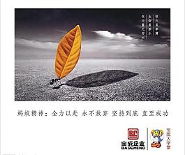企業文化 螞蟻精神永不放棄圖片
