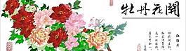 牡丹花開(kāi)圖片