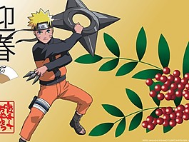 火影忍者高清桌面壁紙