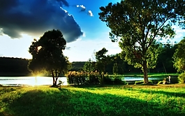 Z8145{風景綠樹}婚紗背景