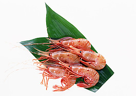 新鮮大蝦