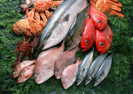 海鮮
