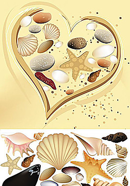 精美沙灘貝殼矢量素材