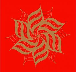 花紋圖片