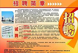 招聘简章图片