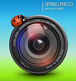 綠色 瓢蟲 相機圖片