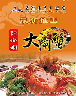 大閘蟹圖片