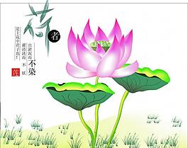 荷花圖片