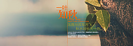 背景 秋季 樹葉