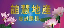 荷花圖片