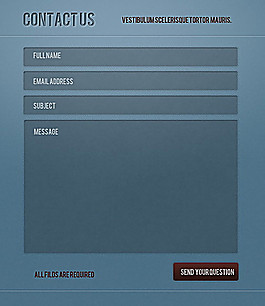 精美網(wǎng)頁設(shè)計元素psd素材-contact_form_web_element_by_npamedia