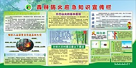 森林防火知识