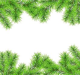 松樹枝 邊框圖片