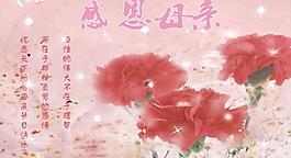 母親節(jié)賀卡圖片