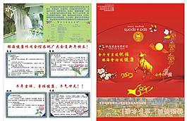 牛年圖片