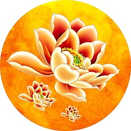 荷花分層