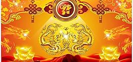2012金龍圖片