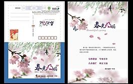 春光明媚圖片