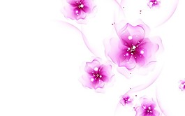 花朵 背景