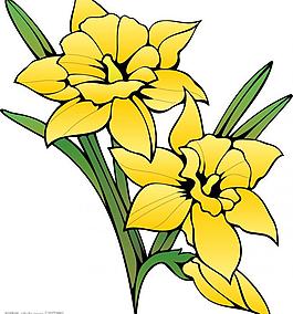 適量花圖片