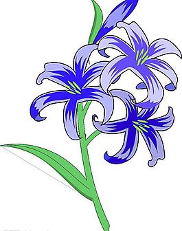 矢量花圖片
