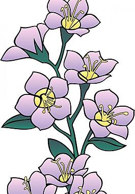 矢量花圖片
