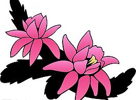 矢量花圖片