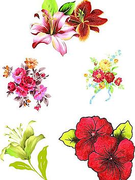花圖片