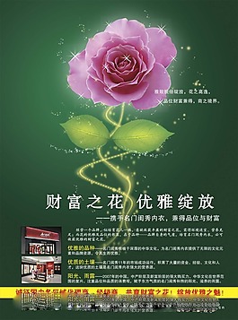 財富之花優(yōu)雅綻放