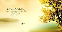 聆聽自然的音律