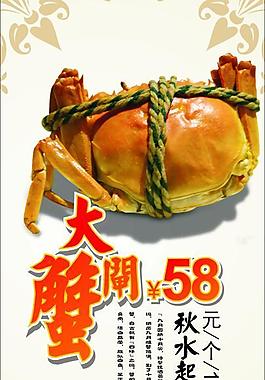 大閘蟹圖片
