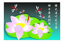 荷花圖片