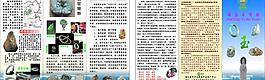 翡翠宣傳單圖片
