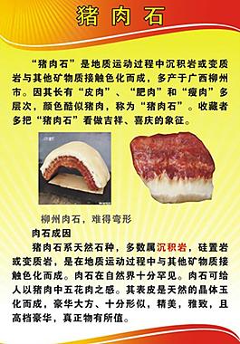 猪肉石图片