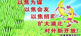 香蕉圖片