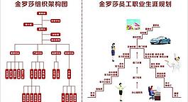 員工職業(yè)生涯規(guī)劃流程圖圖片