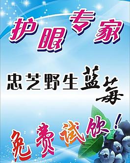 藍莓吊旗圖片