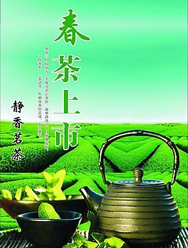 春茶上市圖片
