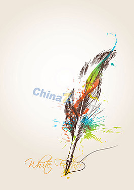 彩色羽毛