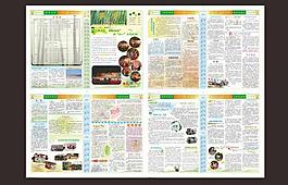 小學(xué)校報 校刊圖片