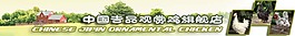 淘寶促銷輪播廣告