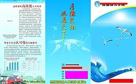 學校三折頁圖片