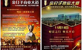 金钉子商业大道图片
