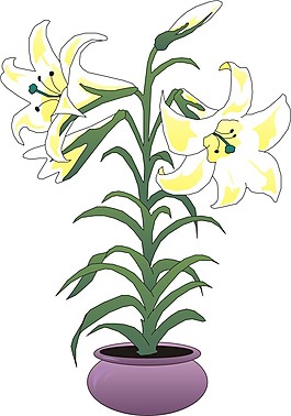 花