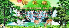 梅花鹿圖片
